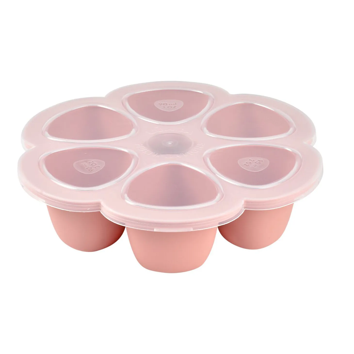 Moule multiportions silicone 6X90ml Vieux Rose