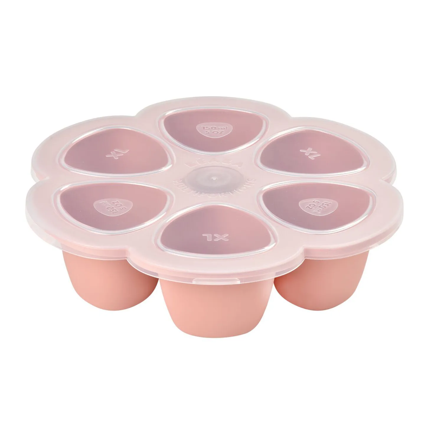Moule multiportionssilicone 6X150ml Vieux Rose