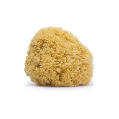 Éponge en fibre naturelle